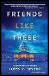 Friends Like These (A Joth Proctor Fixer Mystery)